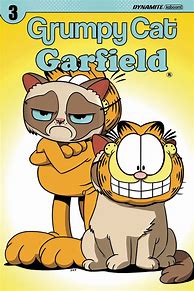 Image result for Grumpy Cat Garfield