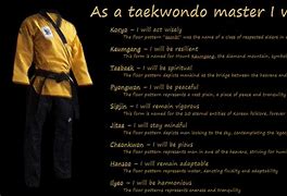 Image result for Black Belt Taekwondo Mac
