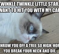 Image result for Star Cat Meme