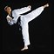 Image result for Bushido Martial Arts Supplies Irvine CA