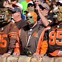 Image result for Cleveland Browns Dog Mask