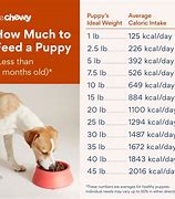 Image result for Guide Dogs