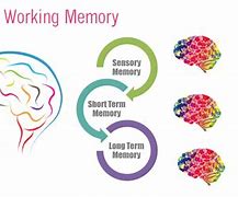 Image result for Facts About Memory for Children