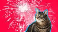 Image result for Funny 4th of July Stuff