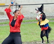 Image result for Pass Dog Dancing
