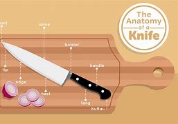 Image result for Kitchen Knife Anatomy