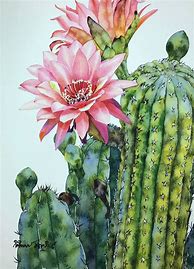 Image result for Watercolor Cactus Drawing