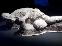 Image result for Frozen in Time Pompeii Exhibit