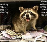 Image result for Racoon Payday Meme