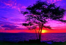 Image result for Beautiful Sunset HD Wallpaper