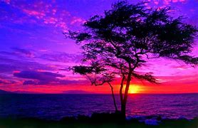 Image result for Sunset Background