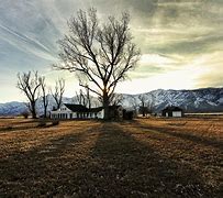 Image result for Nevada R
