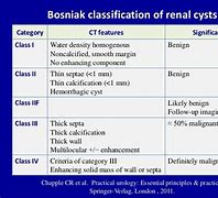 Image result for Renal Cyst Size
