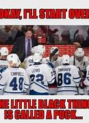 Image result for Funny Toronto Maple Leafs Brain Surgery Cartoon