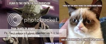 Image result for Yoda Wisdom Meme