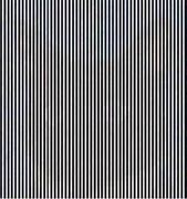 Image result for Optical Illusion Shake Your Head