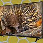 Image result for Input for 50 Inch RCA TV