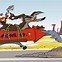 Image result for Warner Brothers Road Runner Cartoon