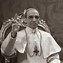 Image result for Pope Pius Vi