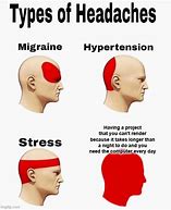 Image result for Blender Brain Meme