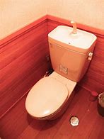 Image result for Fancy Japanese Toilets