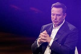Image result for Rabbit Coin Elon Musk