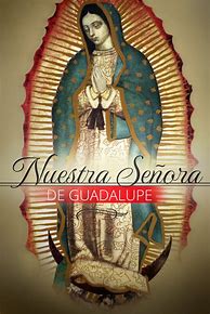 Image result for Nuestra Señora De Guadalupe Our Lady of Guadalupe