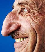 Image result for The Biggest Nose in the World