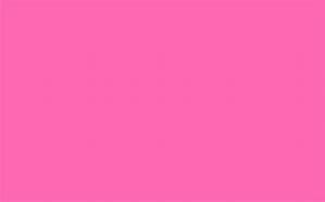 Image result for Hot Pink Backdrop