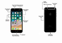Image result for iPhone 7 Ribbon Diagram