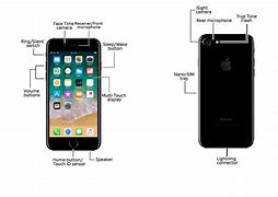 Image result for iPhone 7 Internal Layout