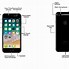 Image result for iPhone 7 Dimensions Diagram