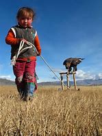 Image result for Mongolian Shants