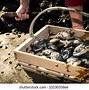 Image result for Bushel of Clams