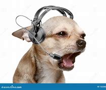 Image result for Dog Answering Phone Meme