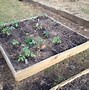 Image result for Square Foot Garden Boxes