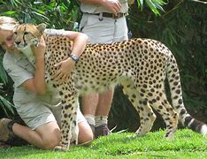 Image result for Zookeeper in Germany