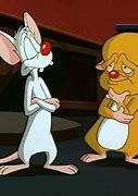 Image result for Pinky and the Brain Snowball