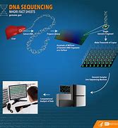 Image result for DNA Sequence