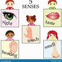 Image result for 5 Senses Mindfulness