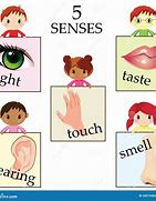 Image result for Five Senses Clip Art for Kids