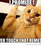 Image result for Promise Funny