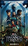 Image result for black panthers wakanda forever