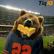 Image result for Funny Chicago Bears Losing Meme