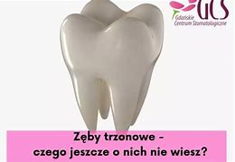 Image result for co_oznacza_ząb_trzonowy