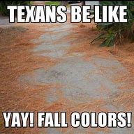 Image result for Only in Texas Meme