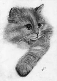 Image result for Dibujos a Lapiz De Gatitos Tiernos