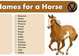 Image result for White Horse Names Female