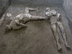 Image result for Pompeii Volcano Bodies Dog