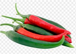 Image result for Spicy Chili Clip Art